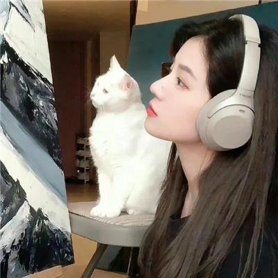 南极物语